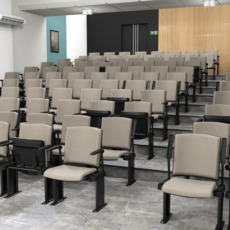 Cadeiras para auditório com design simples e funcional, ideais para ambientes educativos.